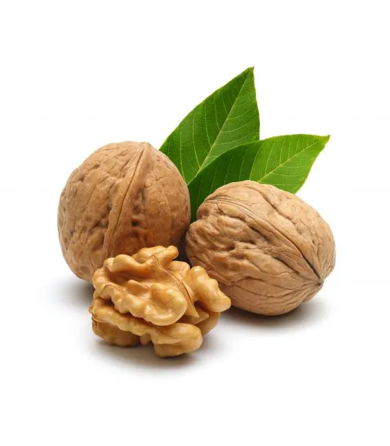 اسانس خوراکی گردو 2 اسانس خوراکی گردو