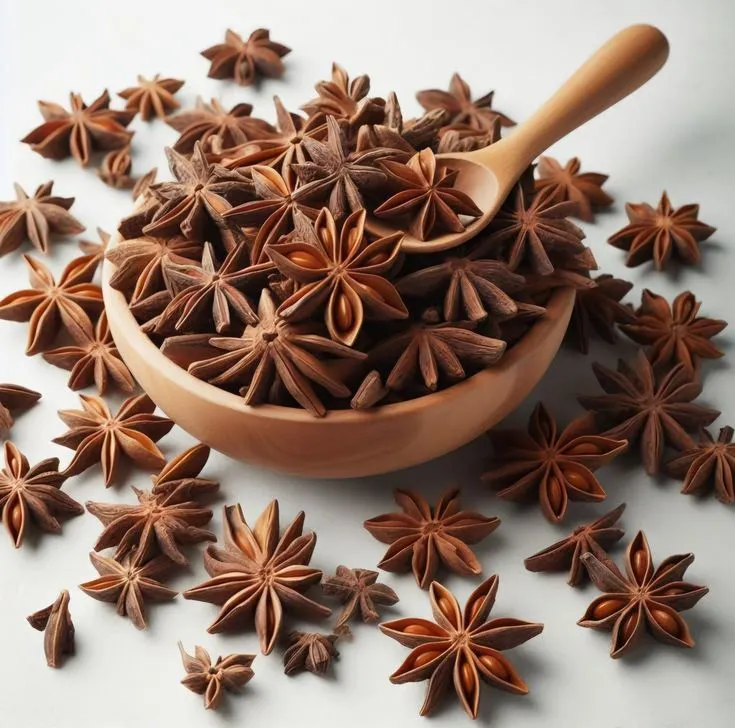 اسانس خوراکی انیسون ستاره 2 اسانس خوراکی انیسون ستاره