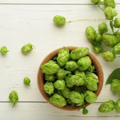 اسانس خوراکی رازک 2 اسانس خوراکی رازک