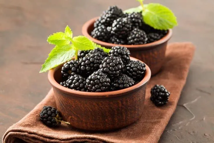 بررسی اسانس تمشک در 13 بخش 2 اسانس تمشک، طعمی شیرین و تازه را به دسرها و نوشیدنیهای شما هدیه میدهد.سانس خوراکی تمشک، طعمی شیرین و تازه را به دسرها و نوشیدنیهای شما هدیه میدهد.