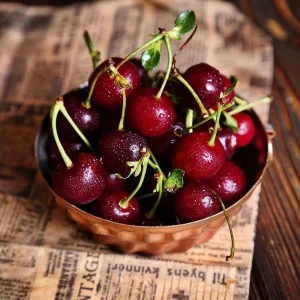 اسانس گیلاس