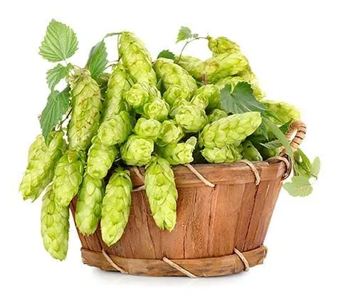 اسانس رازک: طعم جادویی هوپ در آشپزخانه مدرن – راهنمای کامل استفاده در شیرینیپزی، دسرها و نوشیدنیهای خانگی 2 اسانس رازک