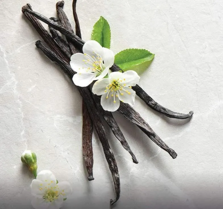 اسانس خوراکی وانیل 2 اسانس خوراکی وانیل