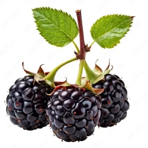 اسانس تمشک خوراکی