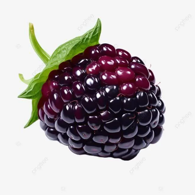 اسانس تمشک خوراکی: ۱۰ ترفند حرفهای برای طعم بینظیر 2 اسانس تمشک خوراکی