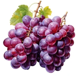 اسانس انگور خوراکی