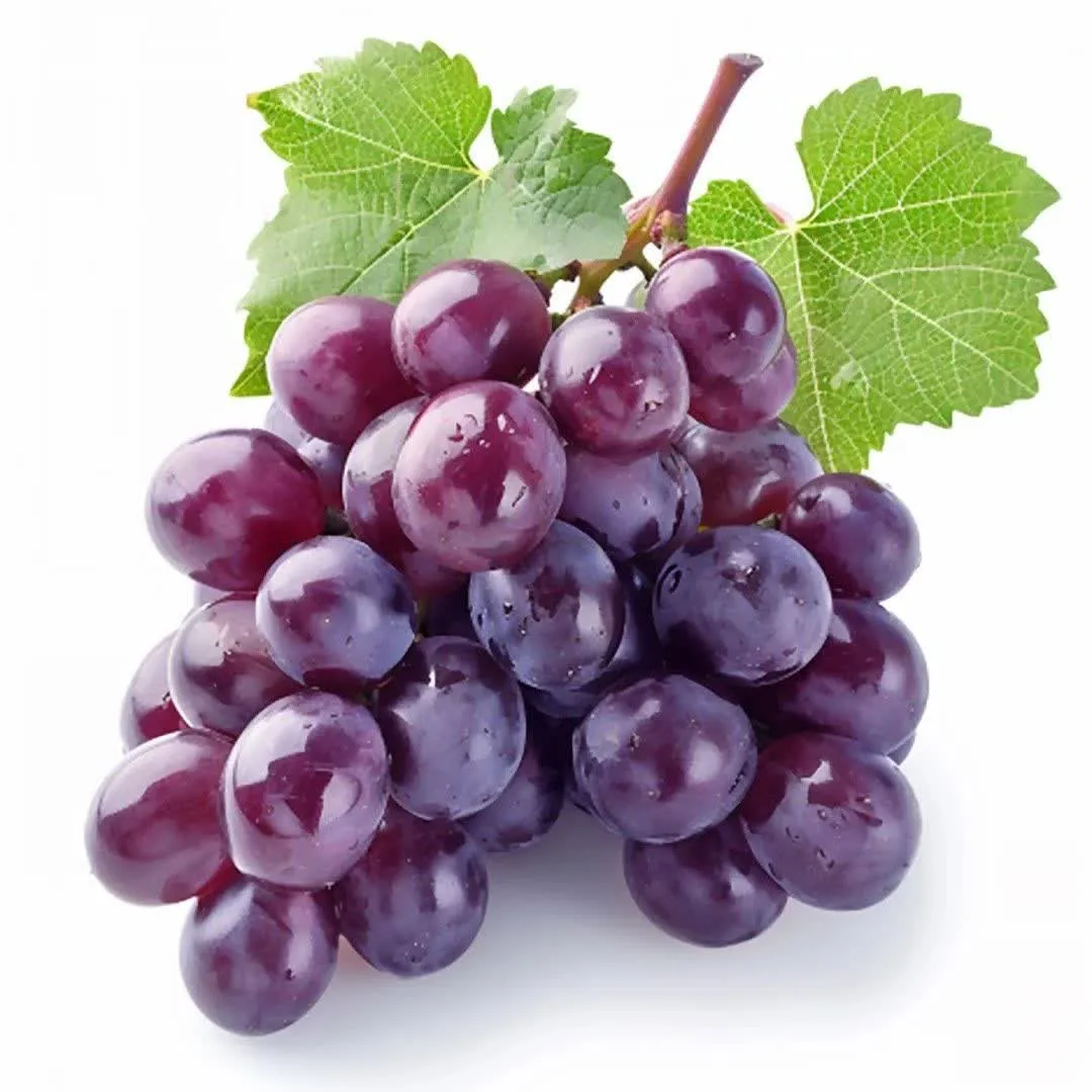 اسانس خوراکی انگور 2 اسانس خوراکی انگور