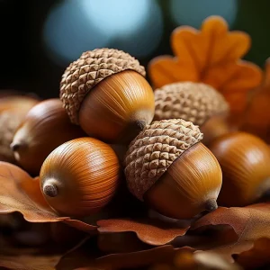 اسانس بلوط خوراکی