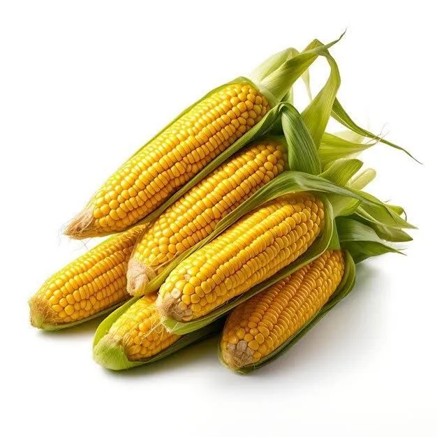 اسانس ذرت خوراکی: راهنمای کامل استفاده در آشپزی 2 اسانس ذرت خوراکی